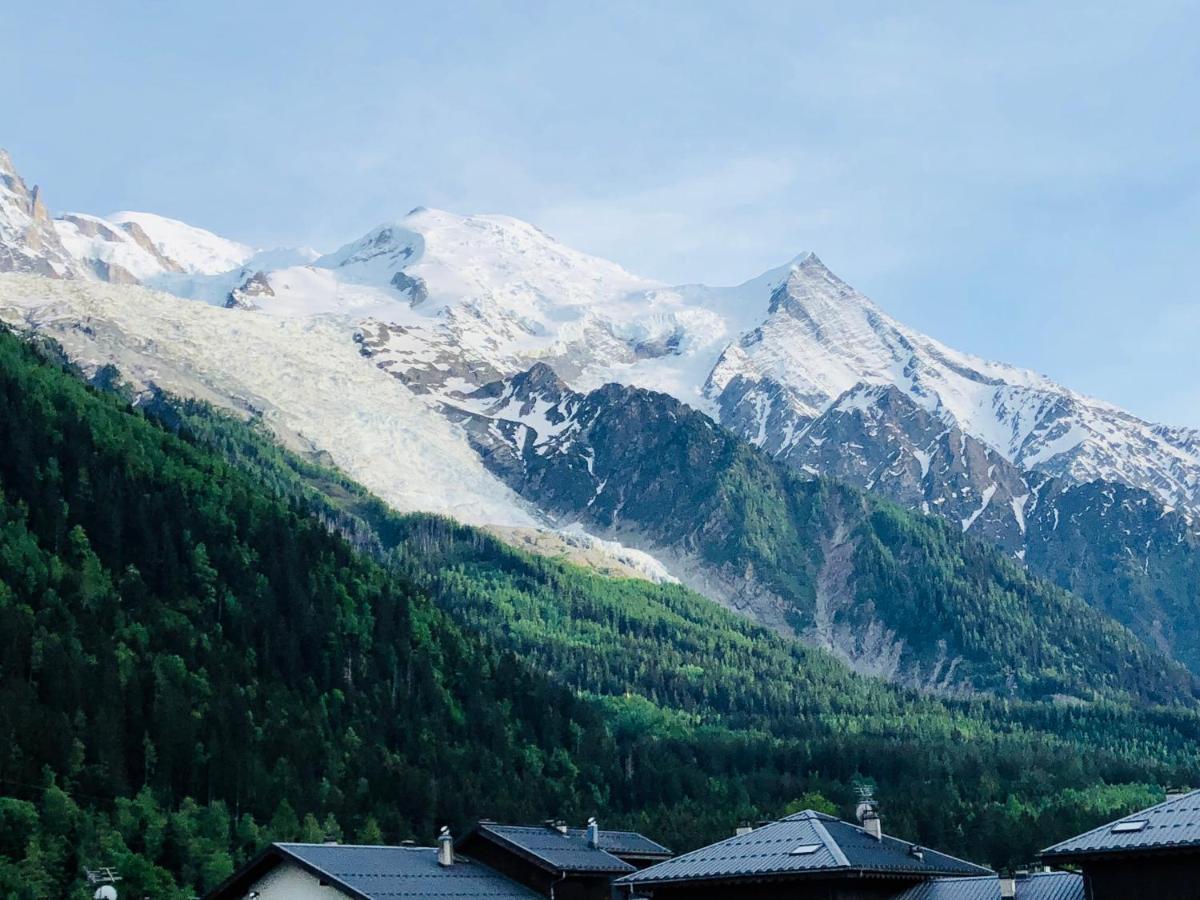 Apartamento Mont Blanc 43, Vue Mont Blanc , Balcon, Parking Chamonix Mont Blanc Exterior foto