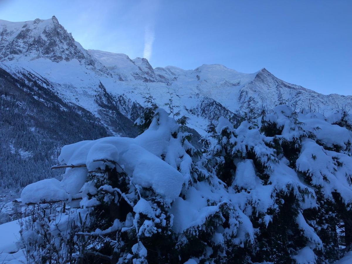 Apartamento Mont Blanc 43, Vue Mont Blanc , Balcon, Parking Chamonix Mont Blanc Exterior foto